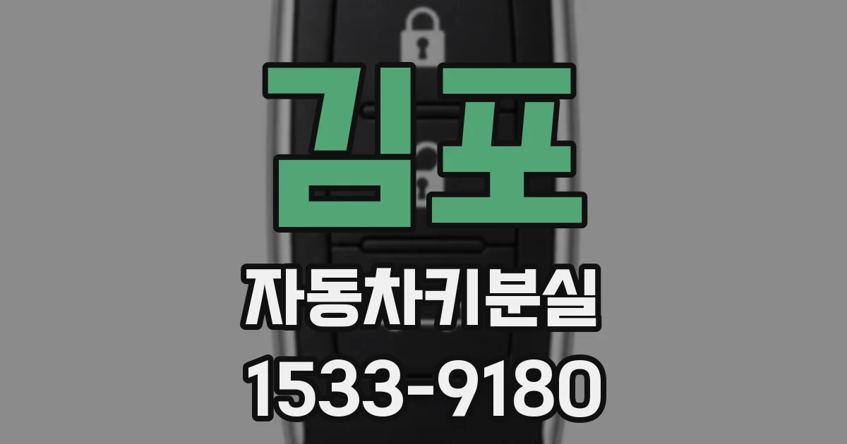 김포 자동차키분실