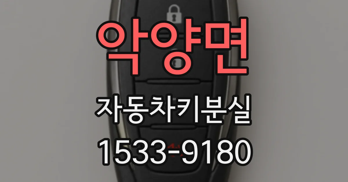악양면 자동차키분실