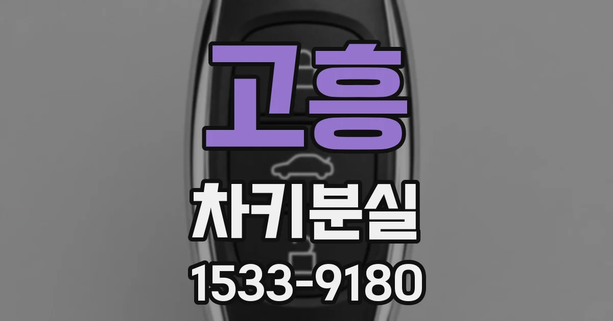 고흥 차키분실