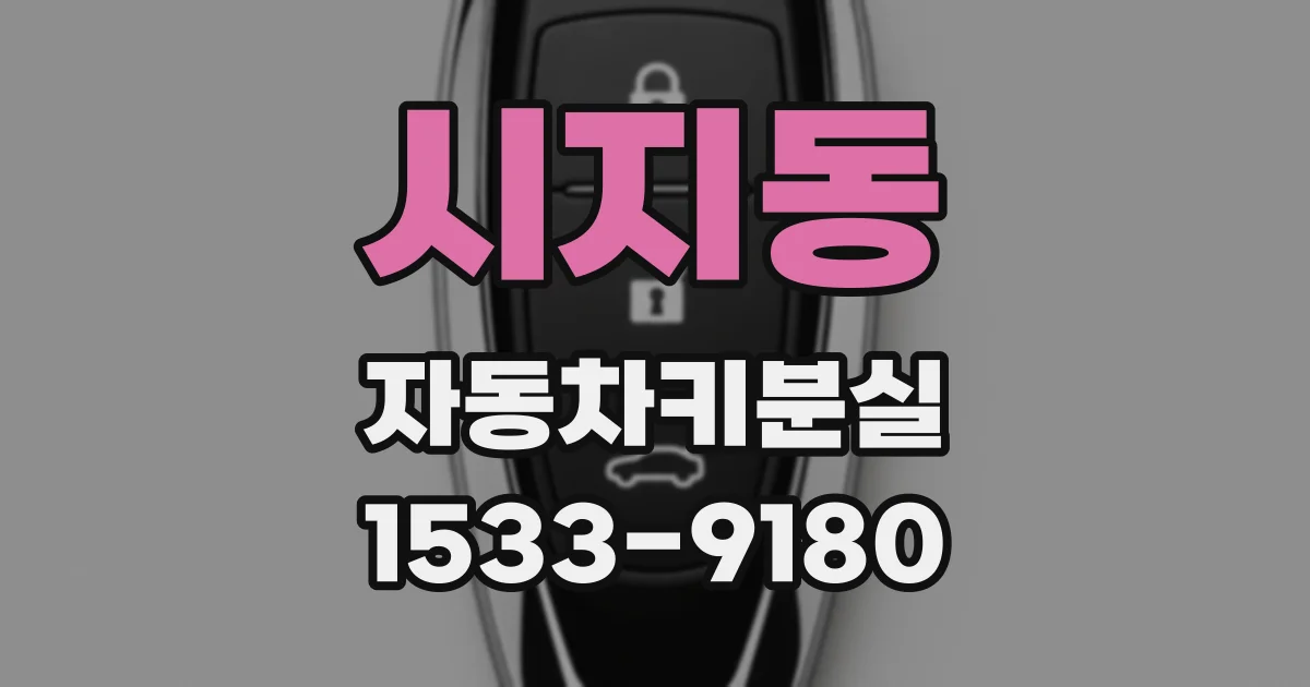시지동 자동차키분실