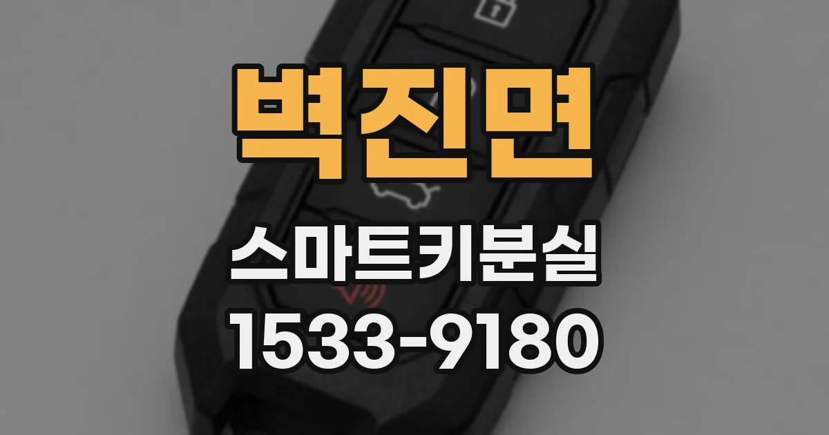벽진면 스마트키분실