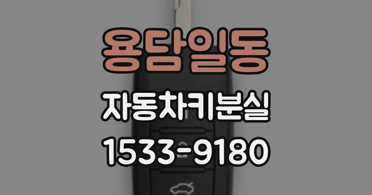 용담일동 자동차키분실