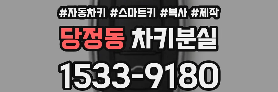 당정동 차키분실