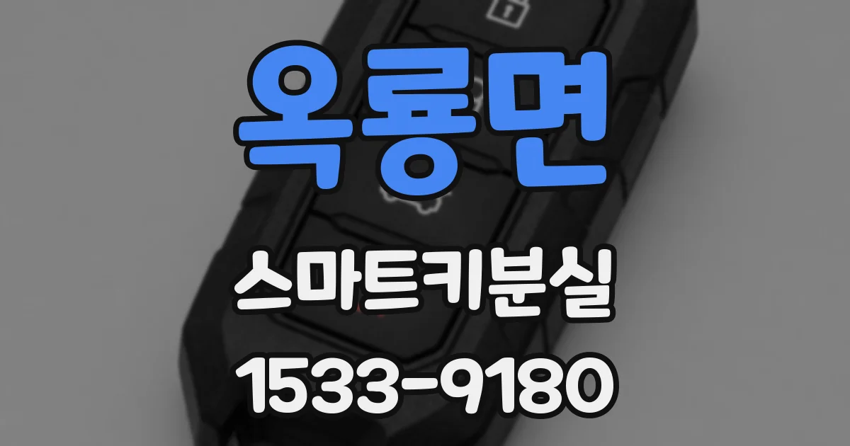 옥룡면 스마트키분실