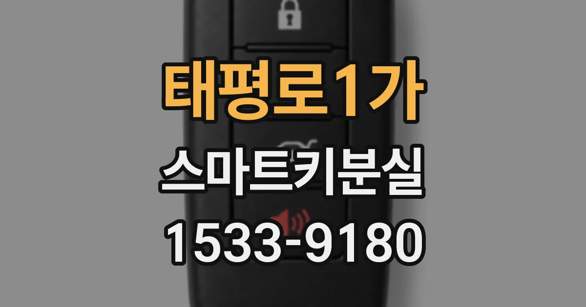 태평로1가 스마트키분실