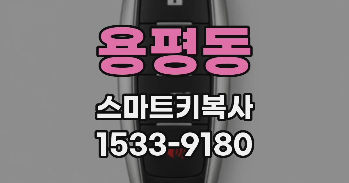 용평동 스마트키복사