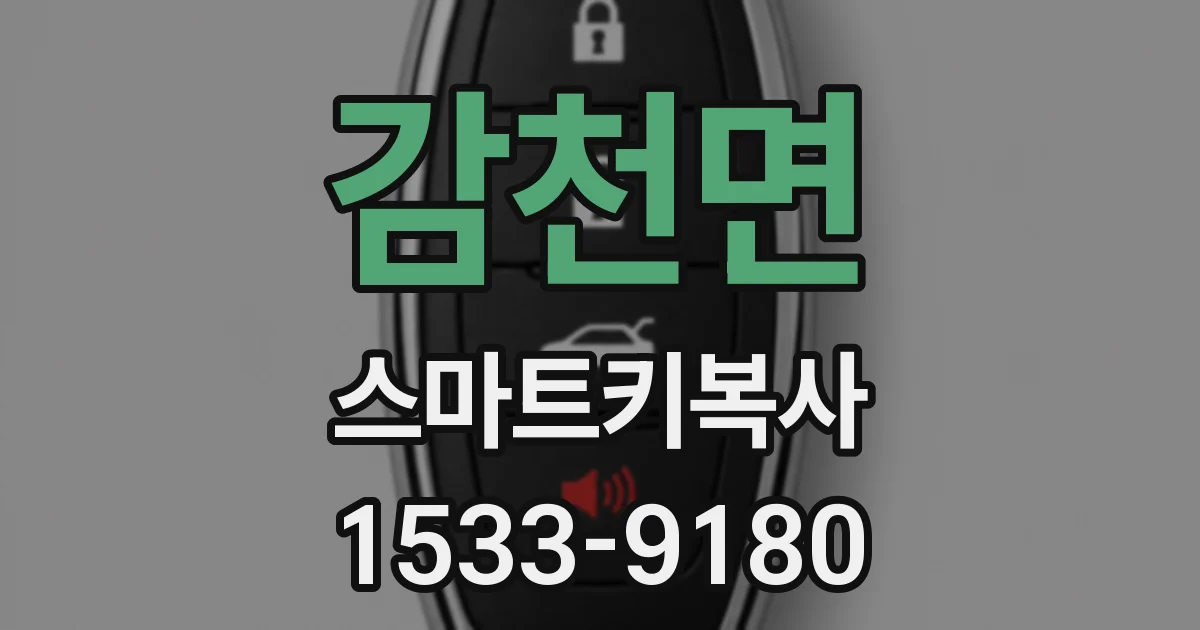 감천면 스마트키복사