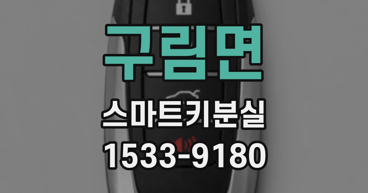 구림면 스마트키분실