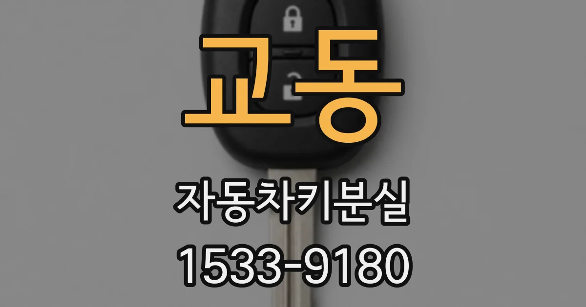 교동 자동차키분실