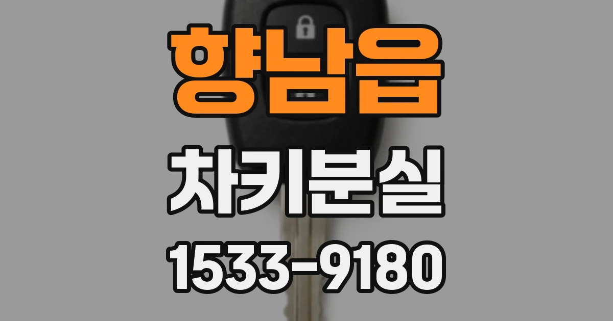 향남읍 차키분실