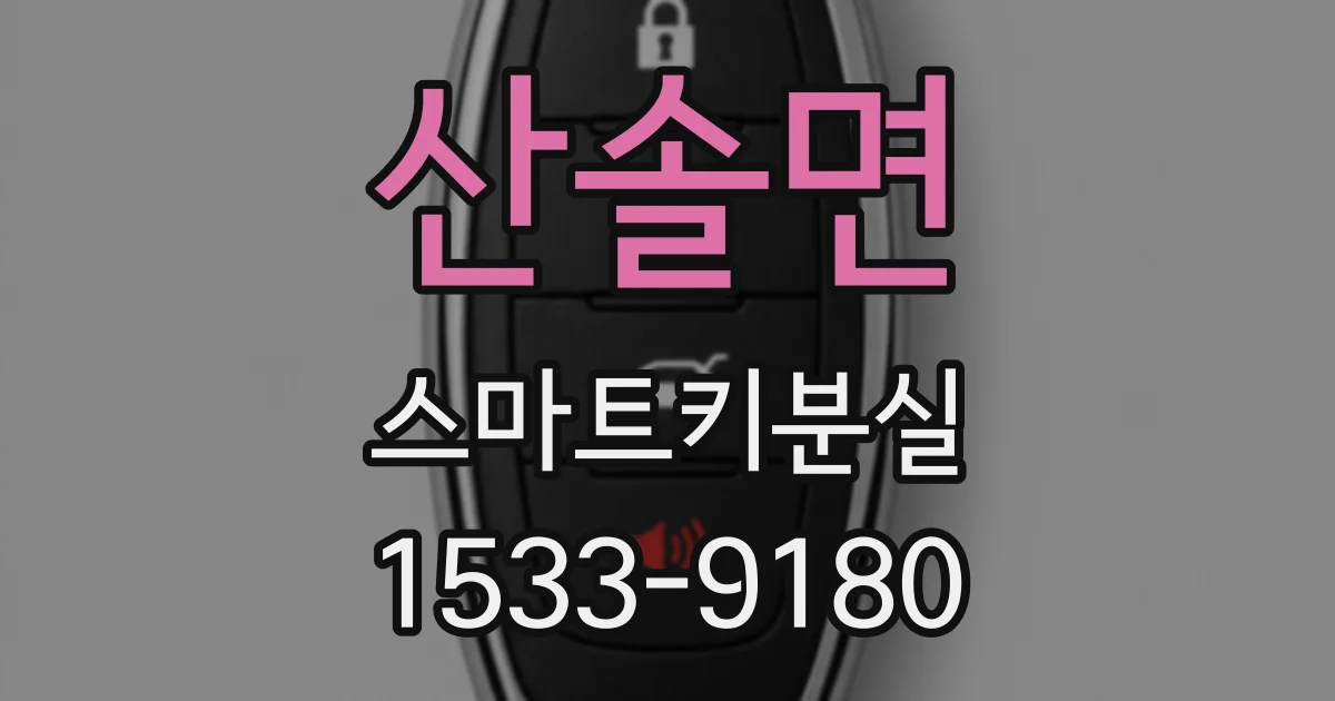 산솔면 스마트키분실