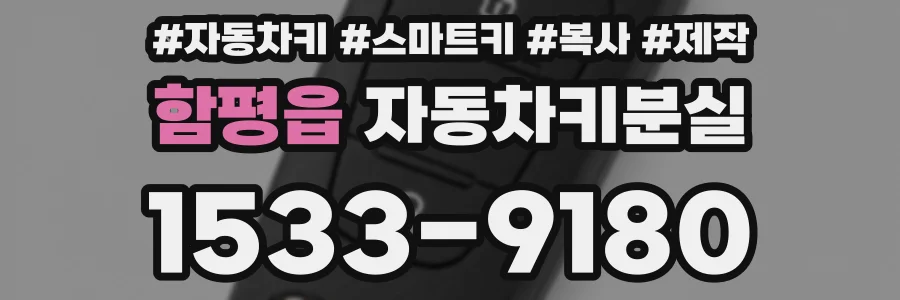 함평읍 자동차키분실