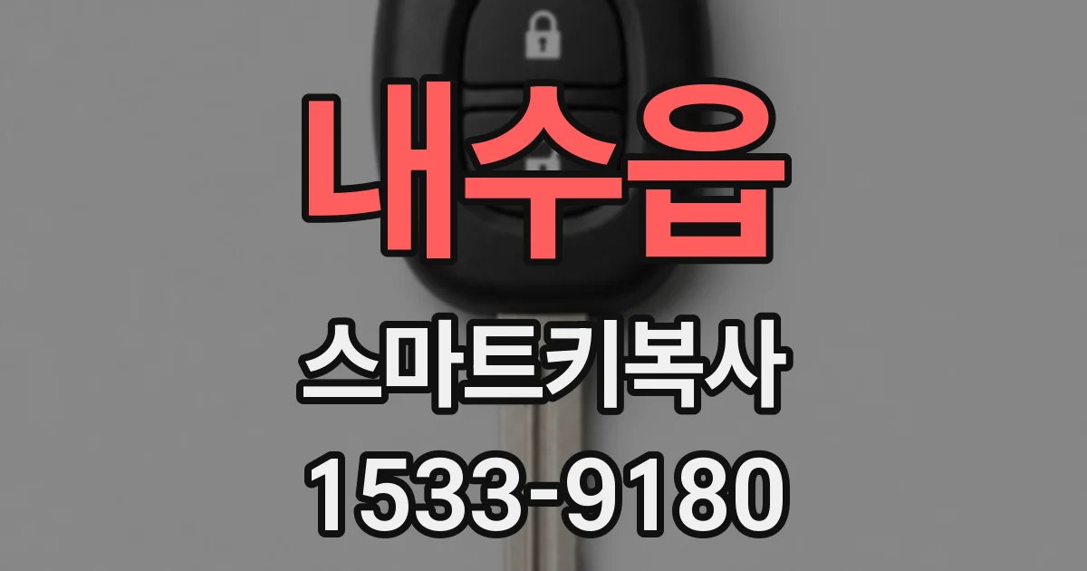 내수읍 스마트키복사