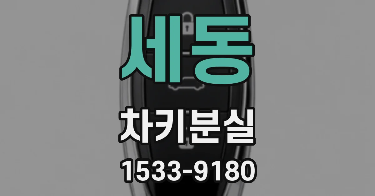 세동 차키분실