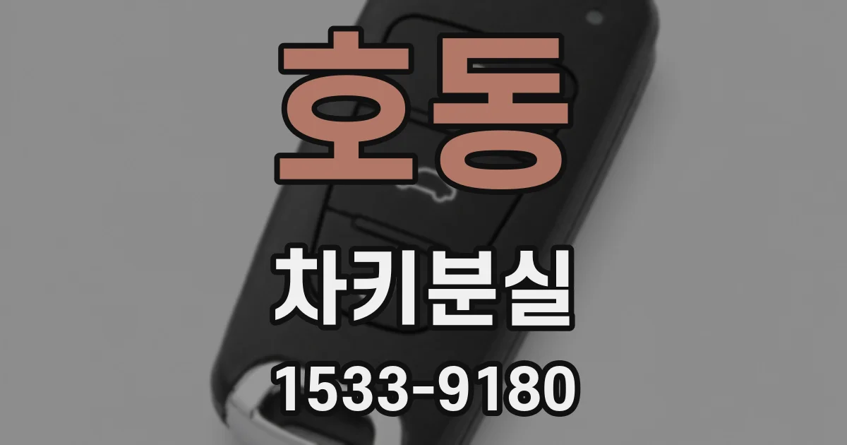호동 차키분실