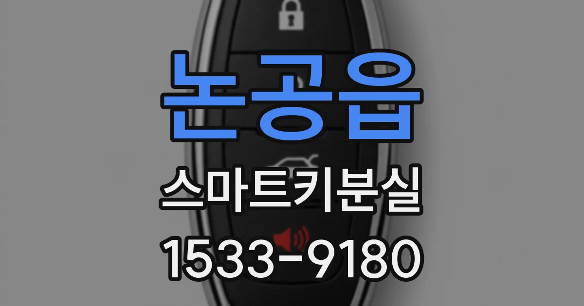 논공읍 스마트키분실
