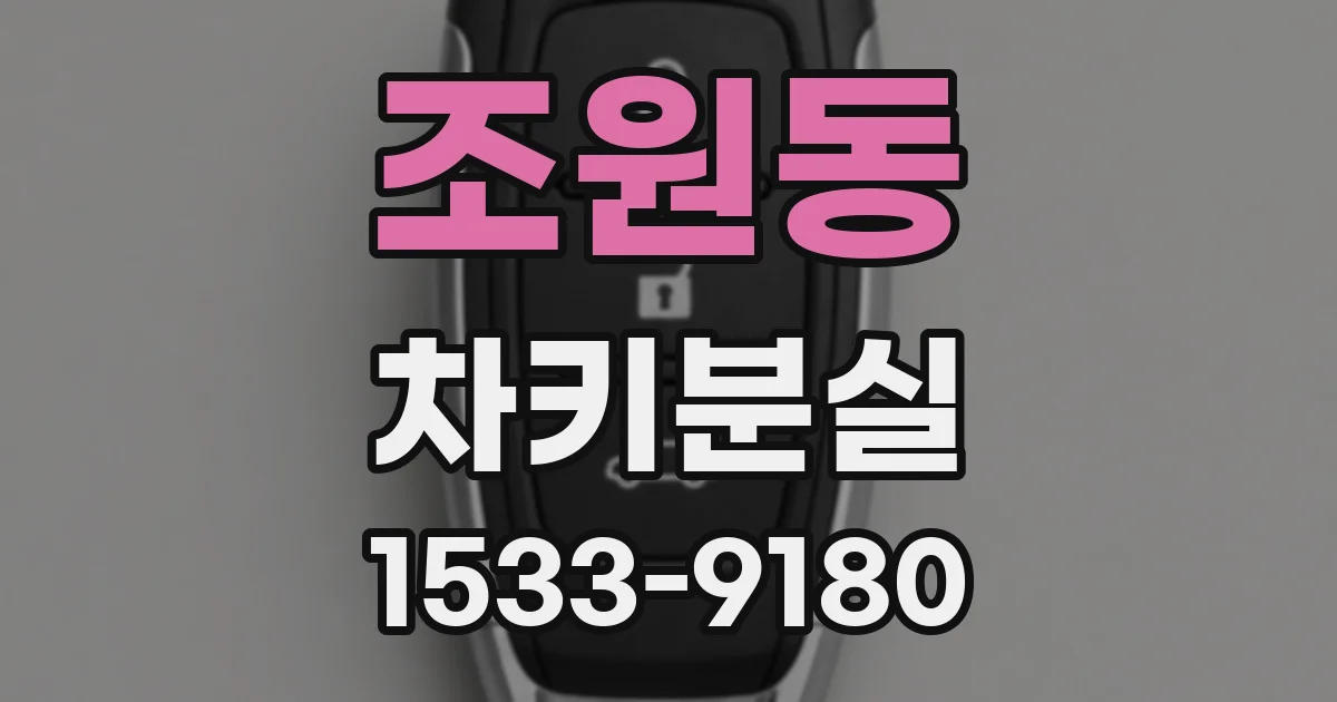 조원동 차키분실