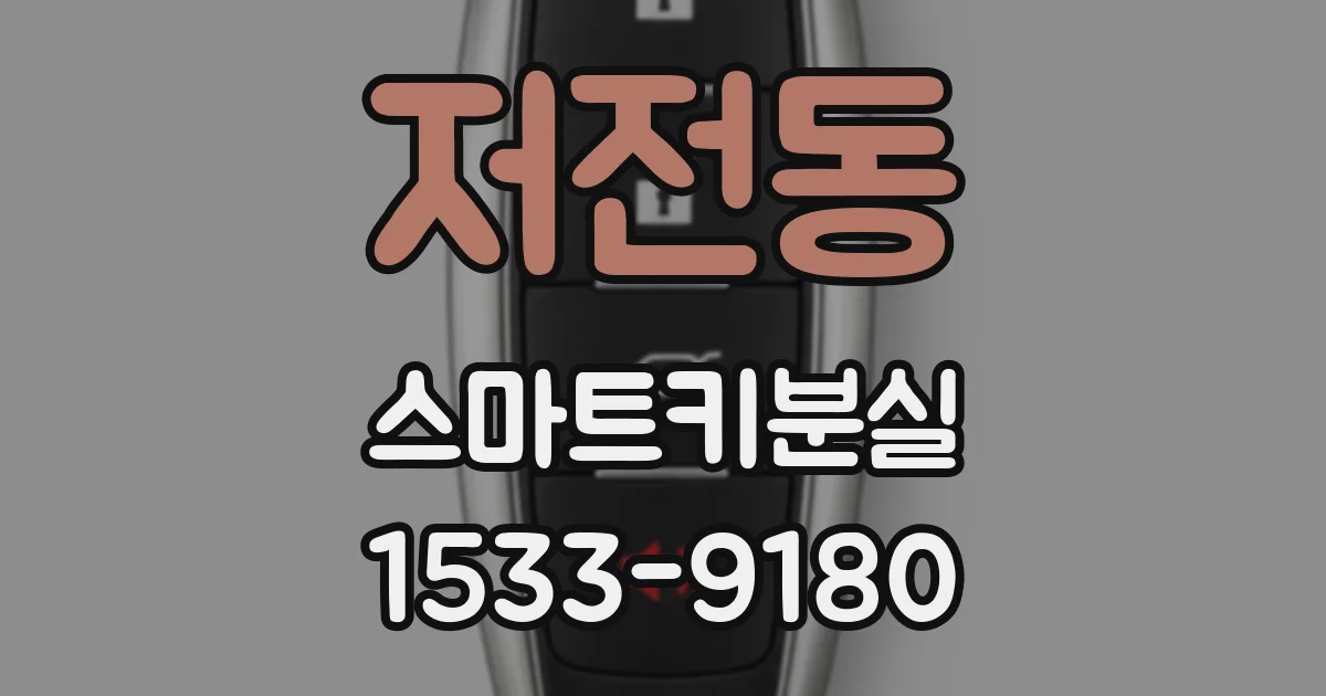 저전동 스마트키분실