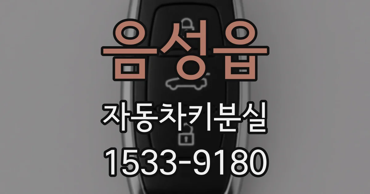 음성읍 자동차키분실
