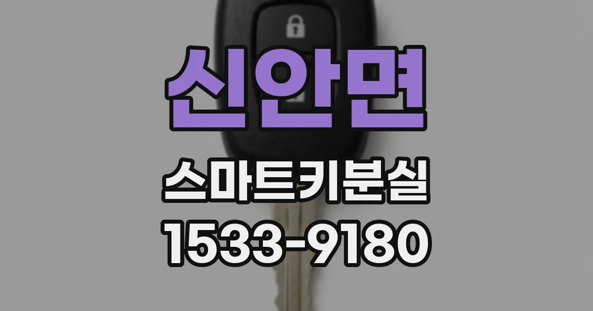 신안면 스마트키분실