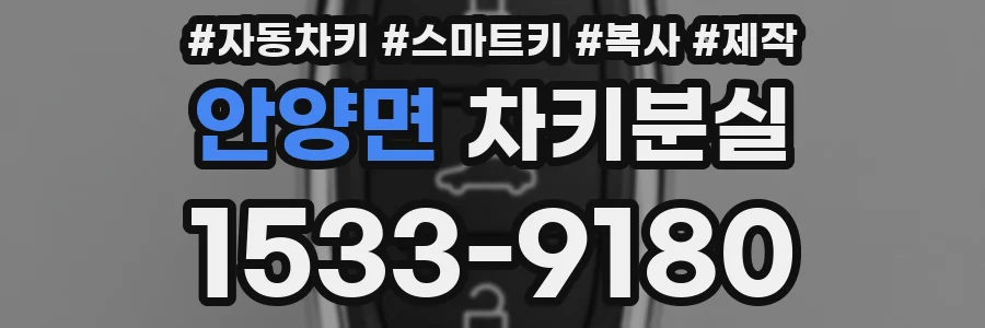 안양면 차키분실