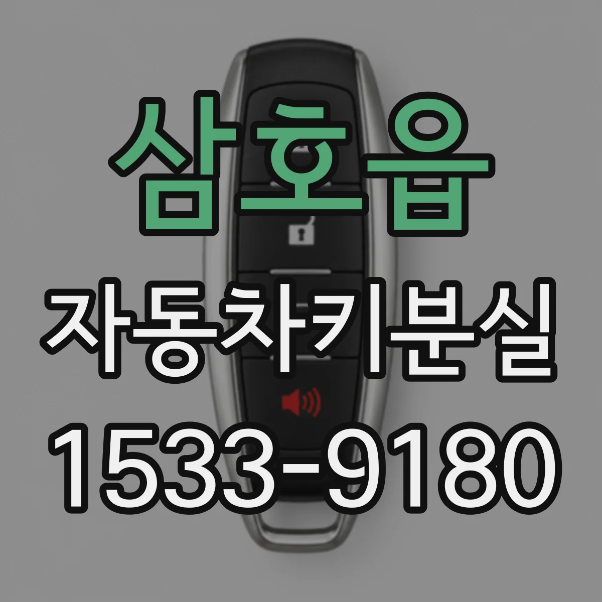 삼호읍 자동차키분실