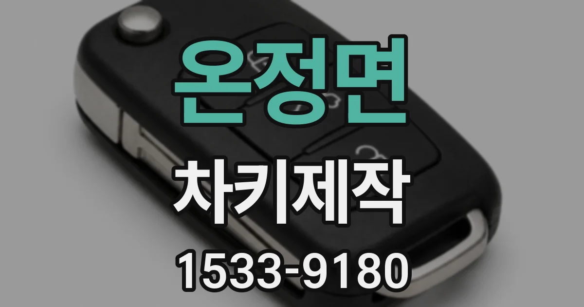 온정면 차키제작