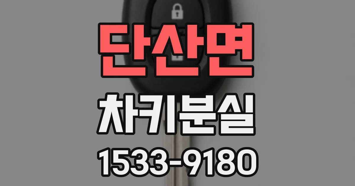 단산면 차키분실