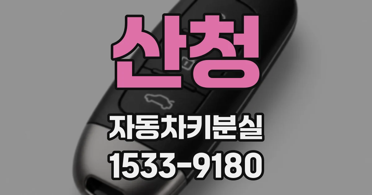 산청 자동차키분실