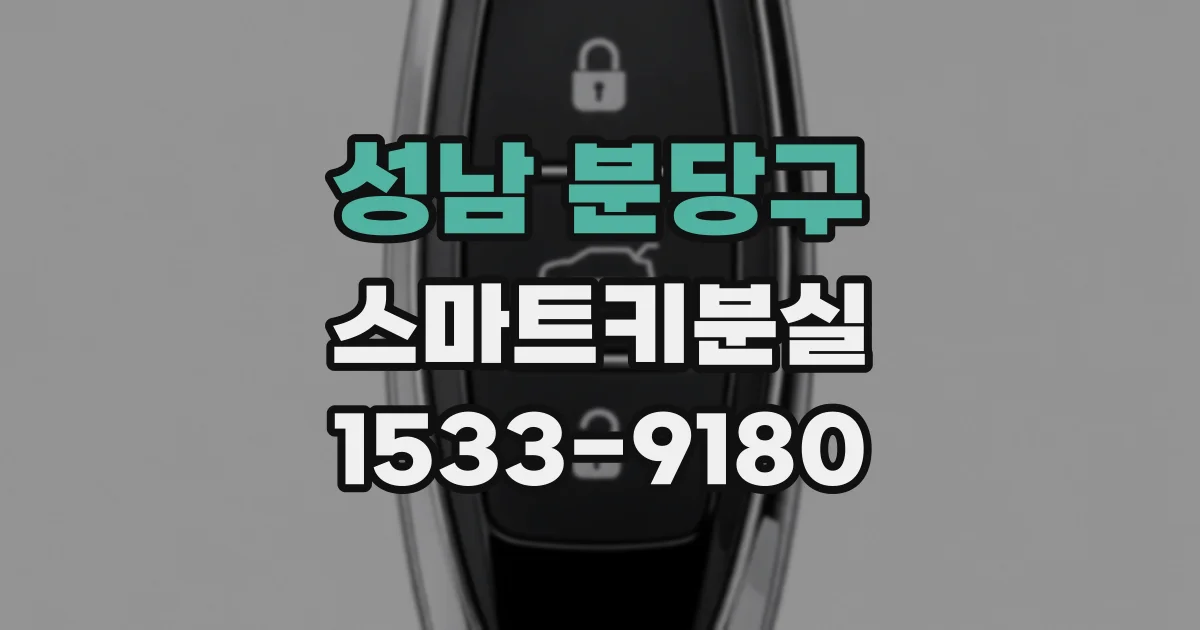 성남 분당구 스마트키분실