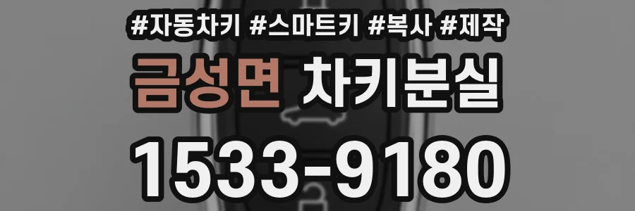 금성면 차키분실