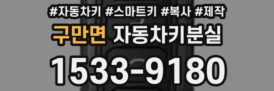 구만면 자동차키분실