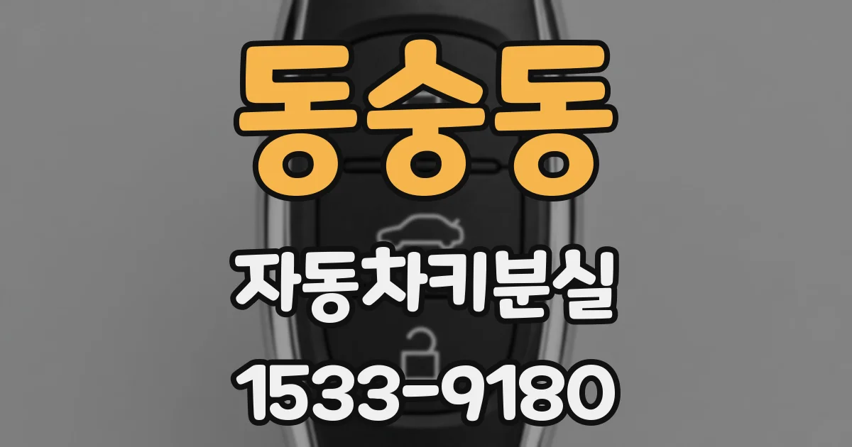 동숭동 자동차키분실