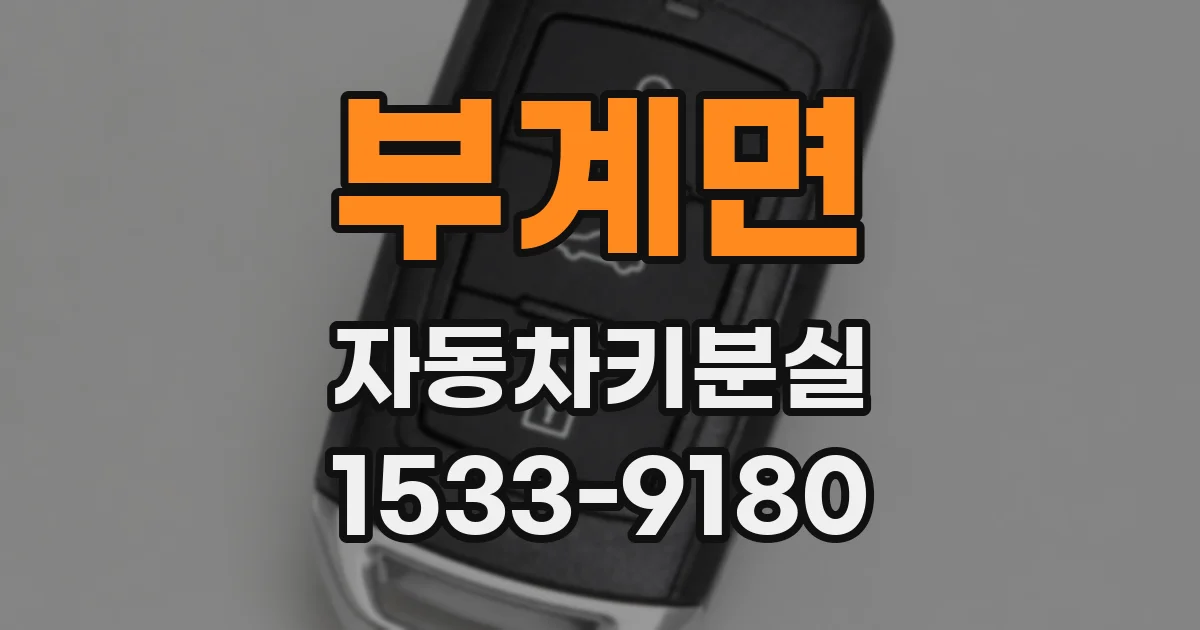 부계면 자동차키분실