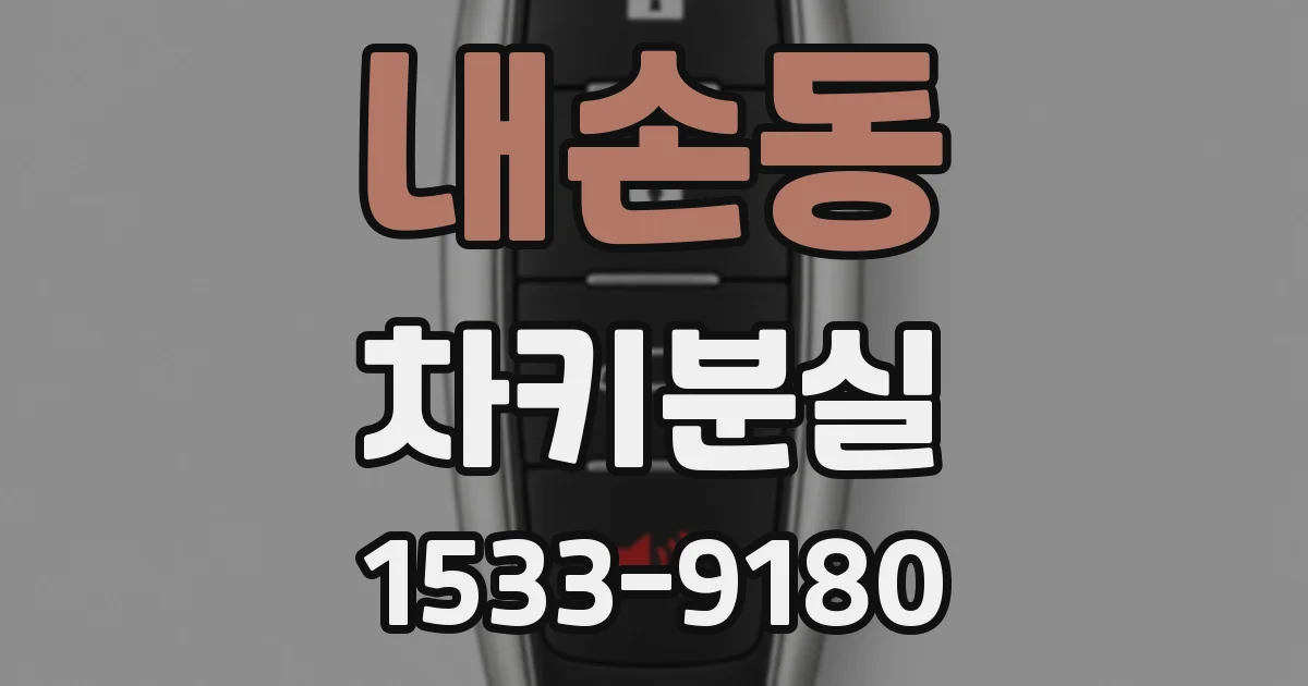 내손동 차키분실