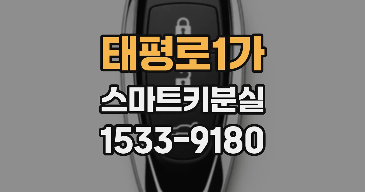 태평로1가 스마트키분실