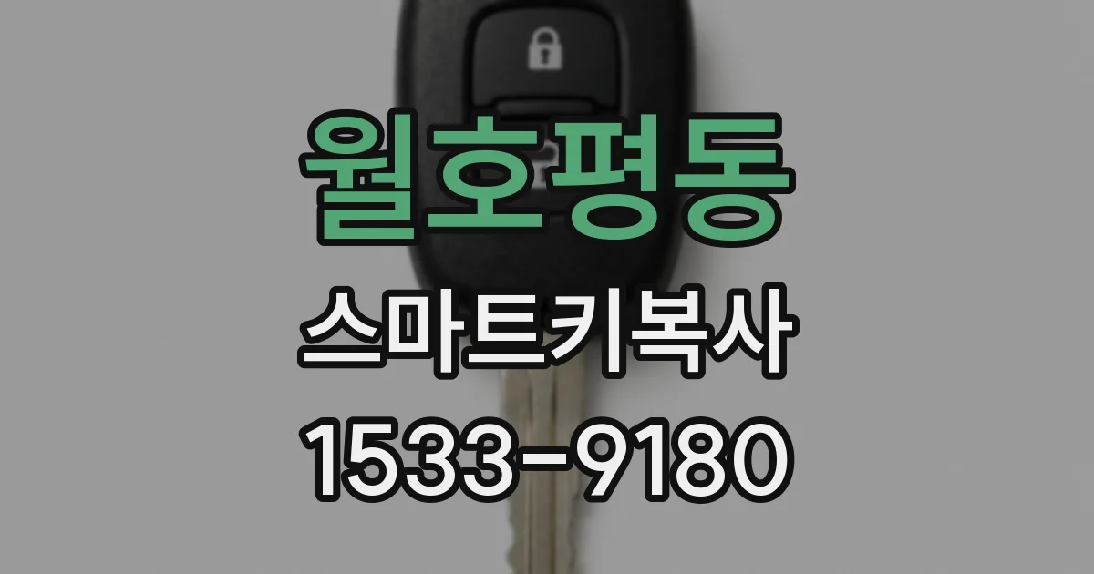 월호평동 스마트키복사