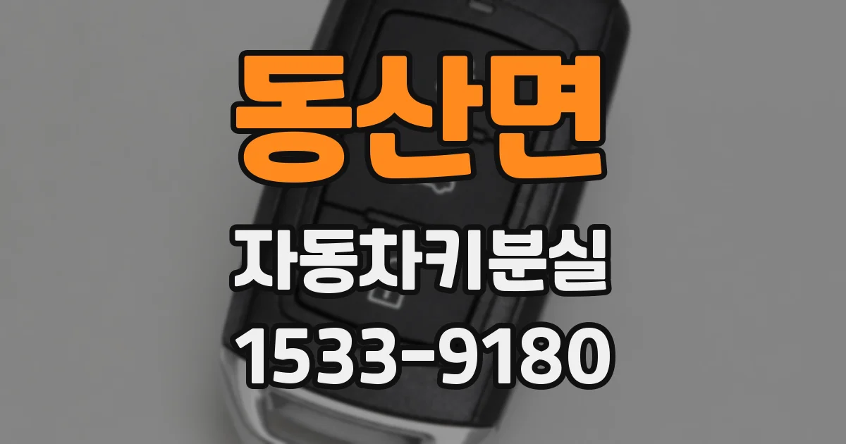 동산면 자동차키분실
