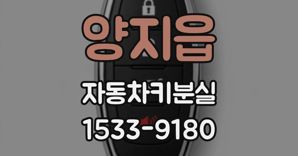 양지읍 자동차키분실