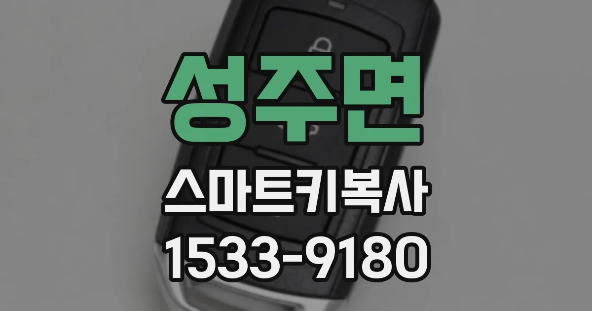 성주면 스마트키복사