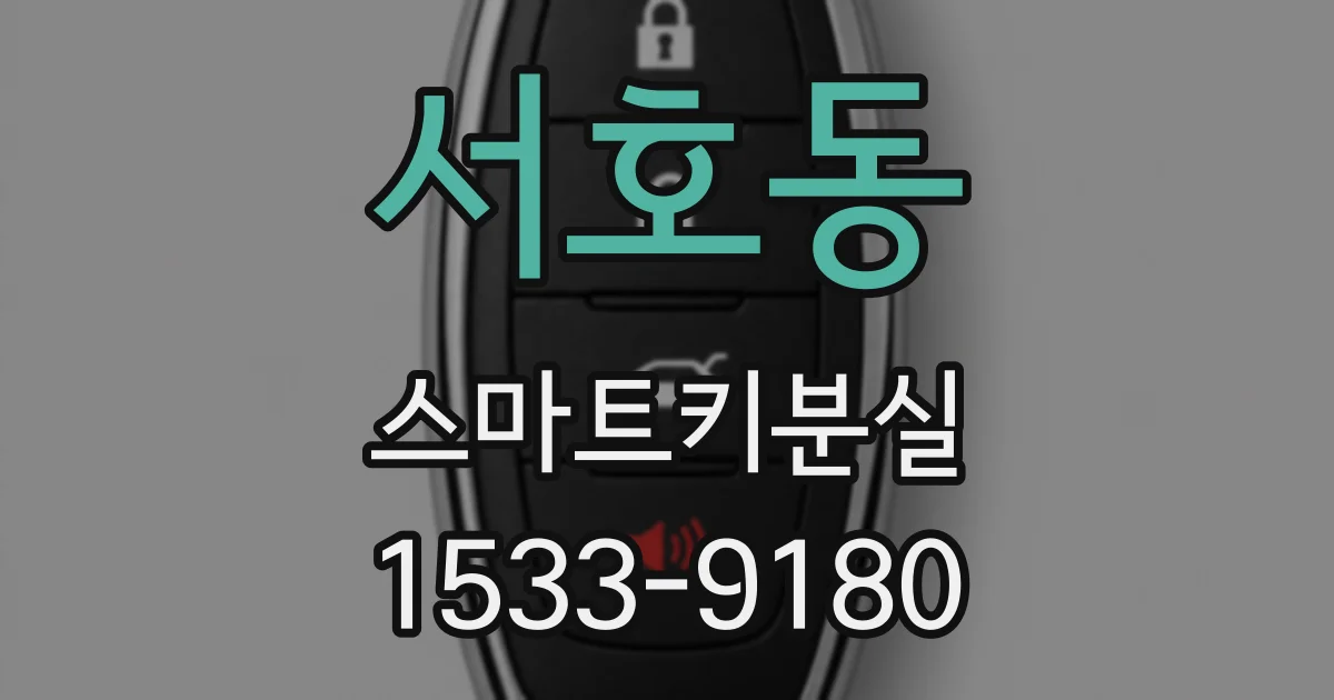 서호동 스마트키분실