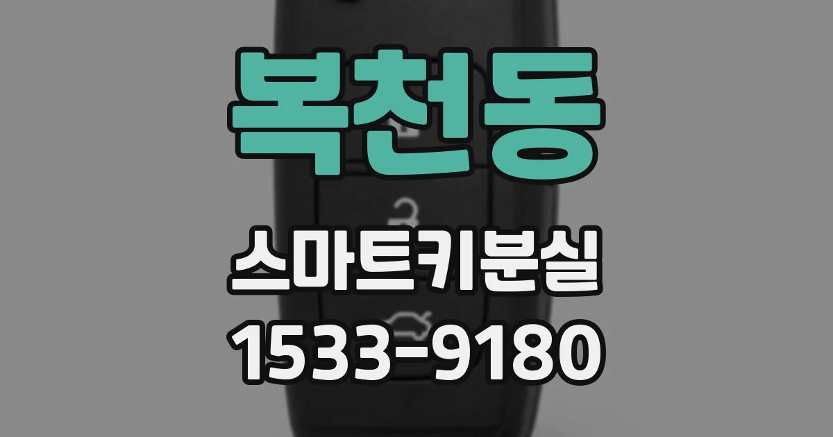 복천동 스마트키분실