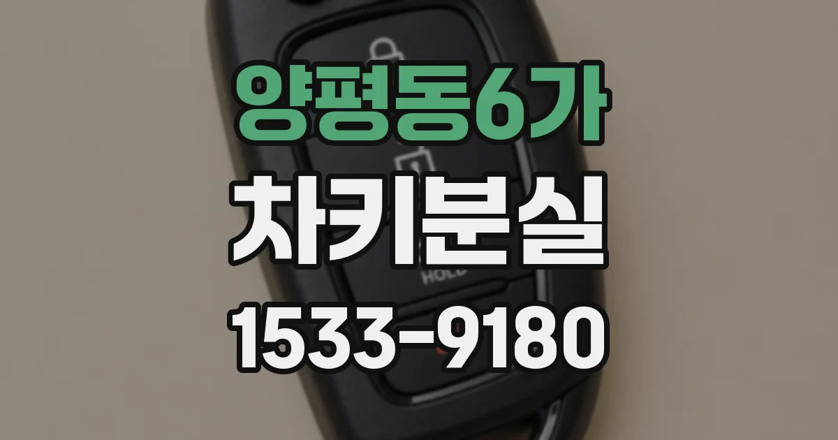 양평동6가 차키분실