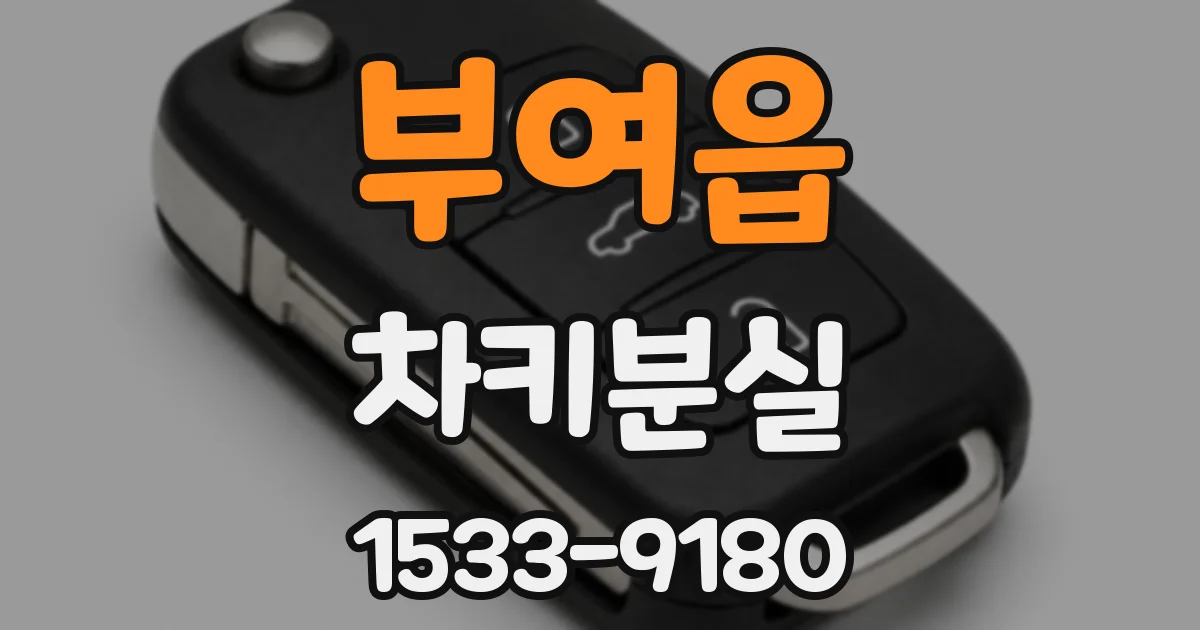 부여읍 차키분실