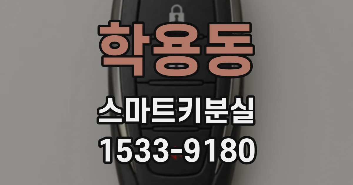 학용동 스마트키분실