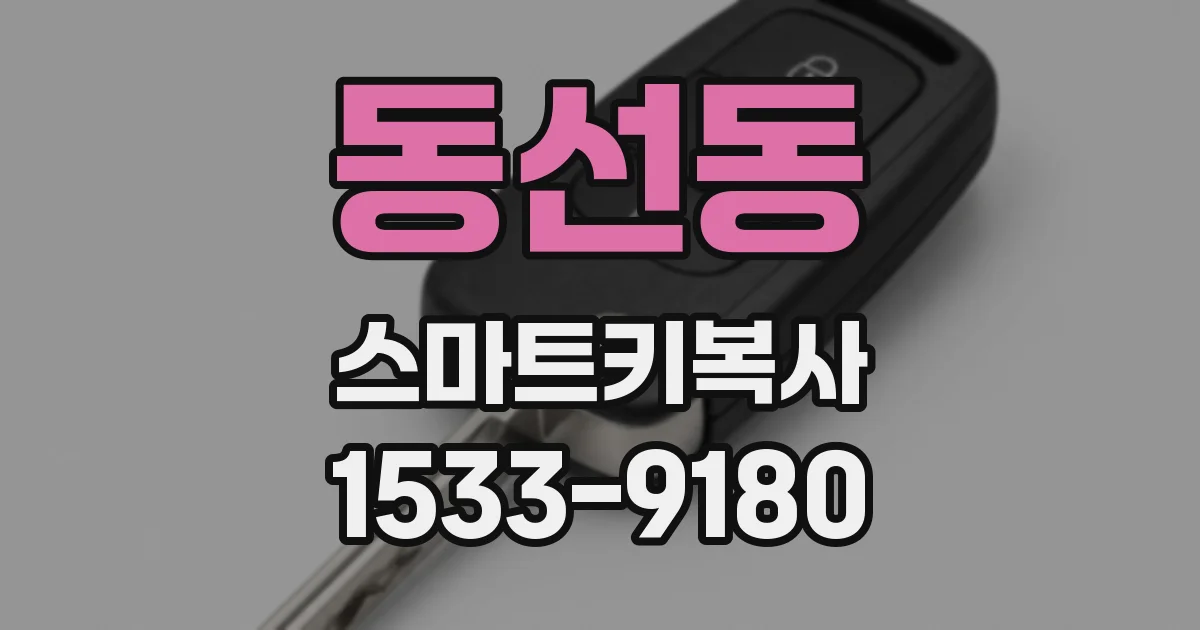 동선동 스마트키복사