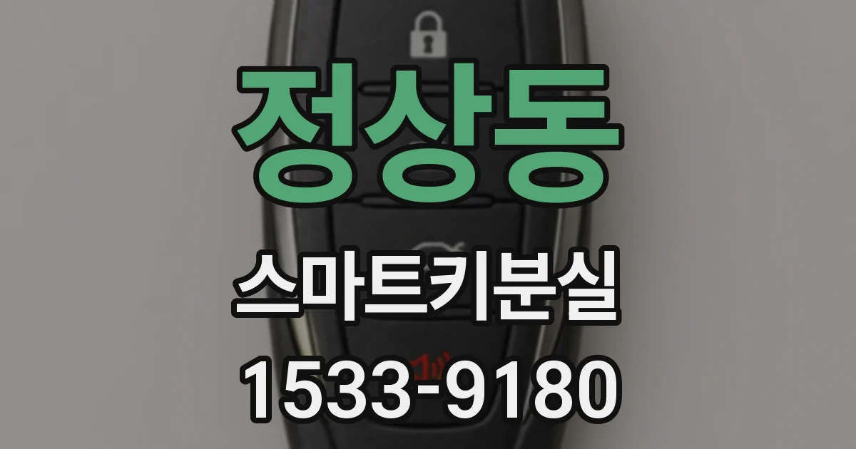 정상동 스마트키분실