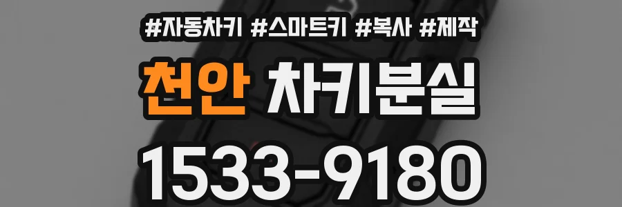 천안 차키분실