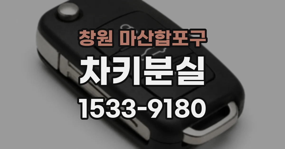 창원 마산합포구 차키분실