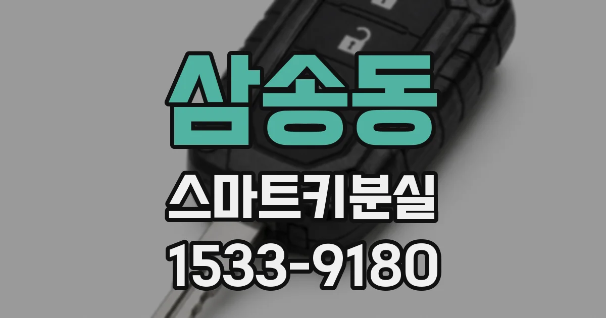 삼송동 스마트키분실